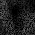 bgd4-118x118.gif
