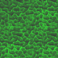 bgd6-118x118.gif