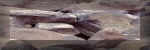 btn3-150x50.gif