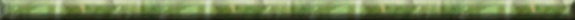 div3-575x20.gif