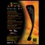 Xbox Live Starter Kit